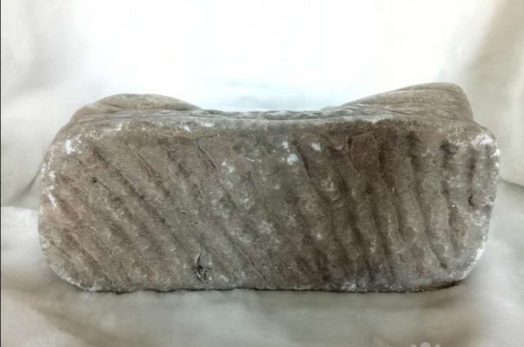 那只逮老鼠的猫老被绳子拴着