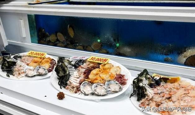 中房社带你去看真实的济州岛,和你的预期可能不太一样