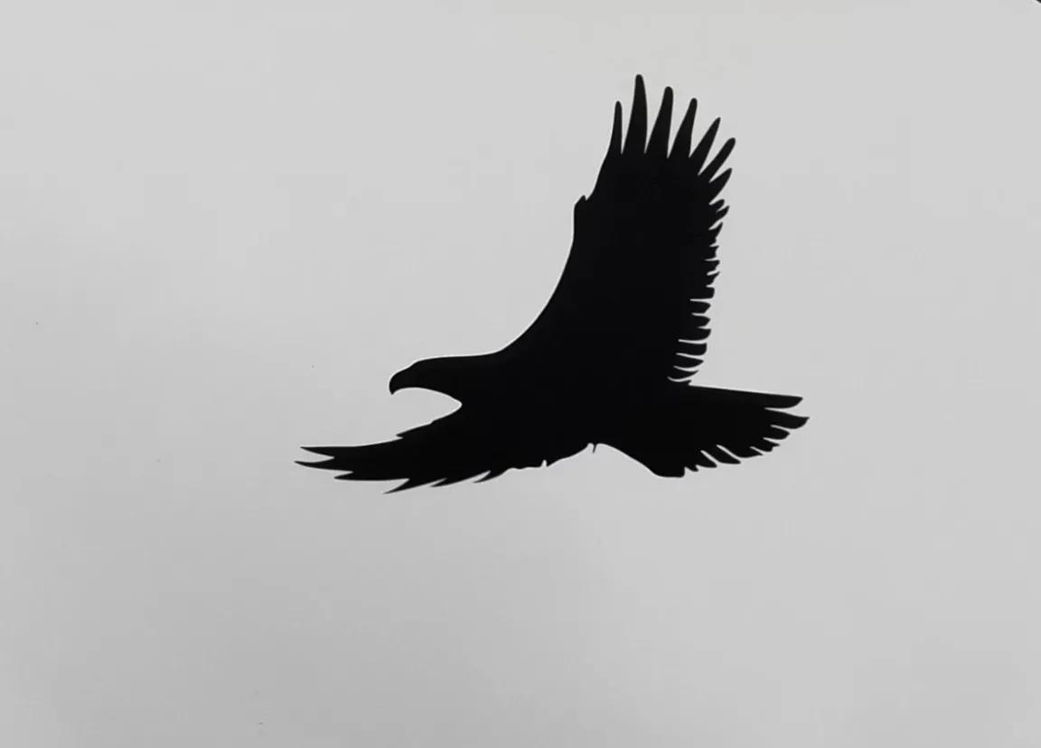 第一天去荷兰旅行,到荷兰的第一天