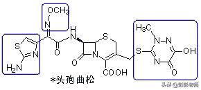 执业药师药物化学结构记忆口诀,初级药师基础知识药物分析