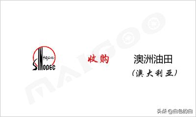 被外国收购的中国企业有哪些,中国被美国收购的十家企业