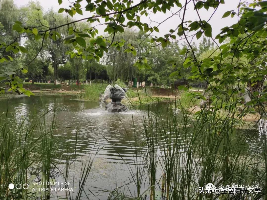 写给孙悟空的一封信,给孙悟空的一封信七年级