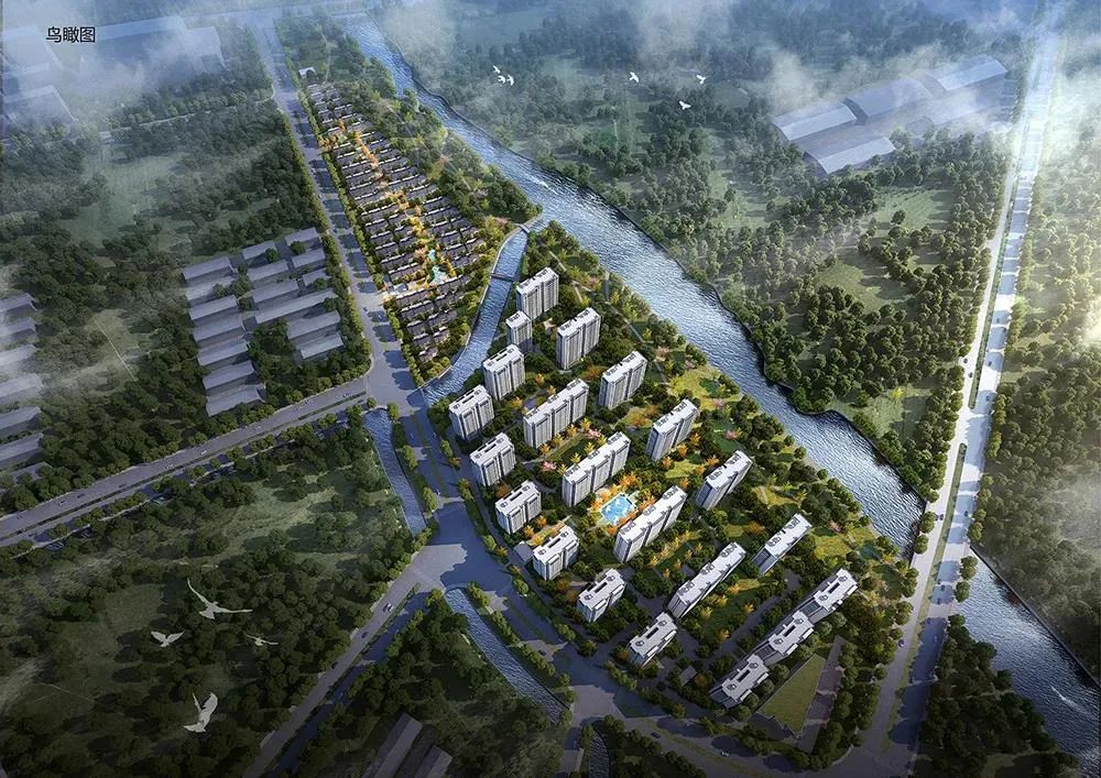 最高意向度近400%！无房优先认购上新5盘，小户型超抢手