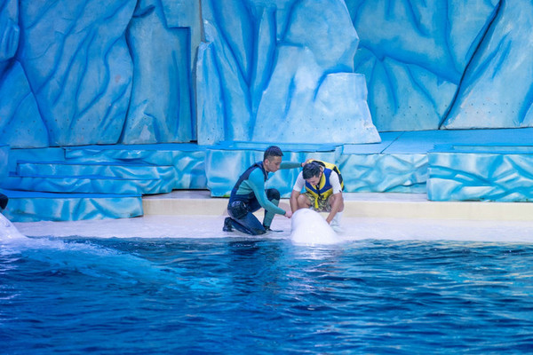 珠海长隆旅游攻略一天自由行,珠海长隆旅游攻略三天自由行