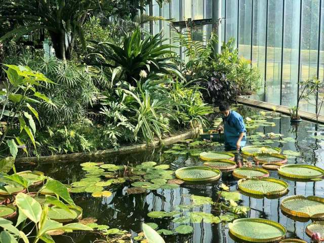 东京到镰仓和箱根攻略,东京箱根富士山镰仓