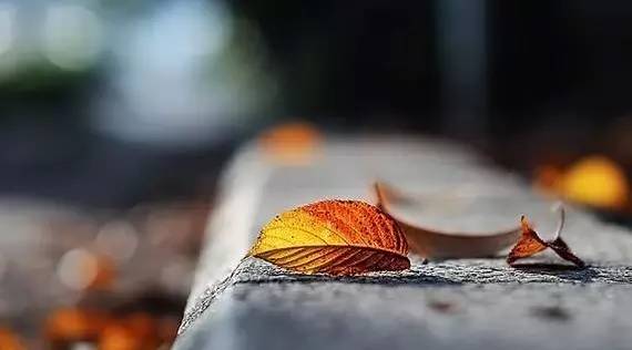 摄影景深和用光,摄影景深是什么意思