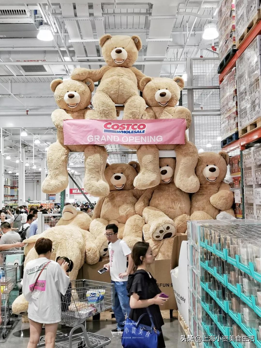 5小时实测大陆首家costco,大陆首家costco茅台