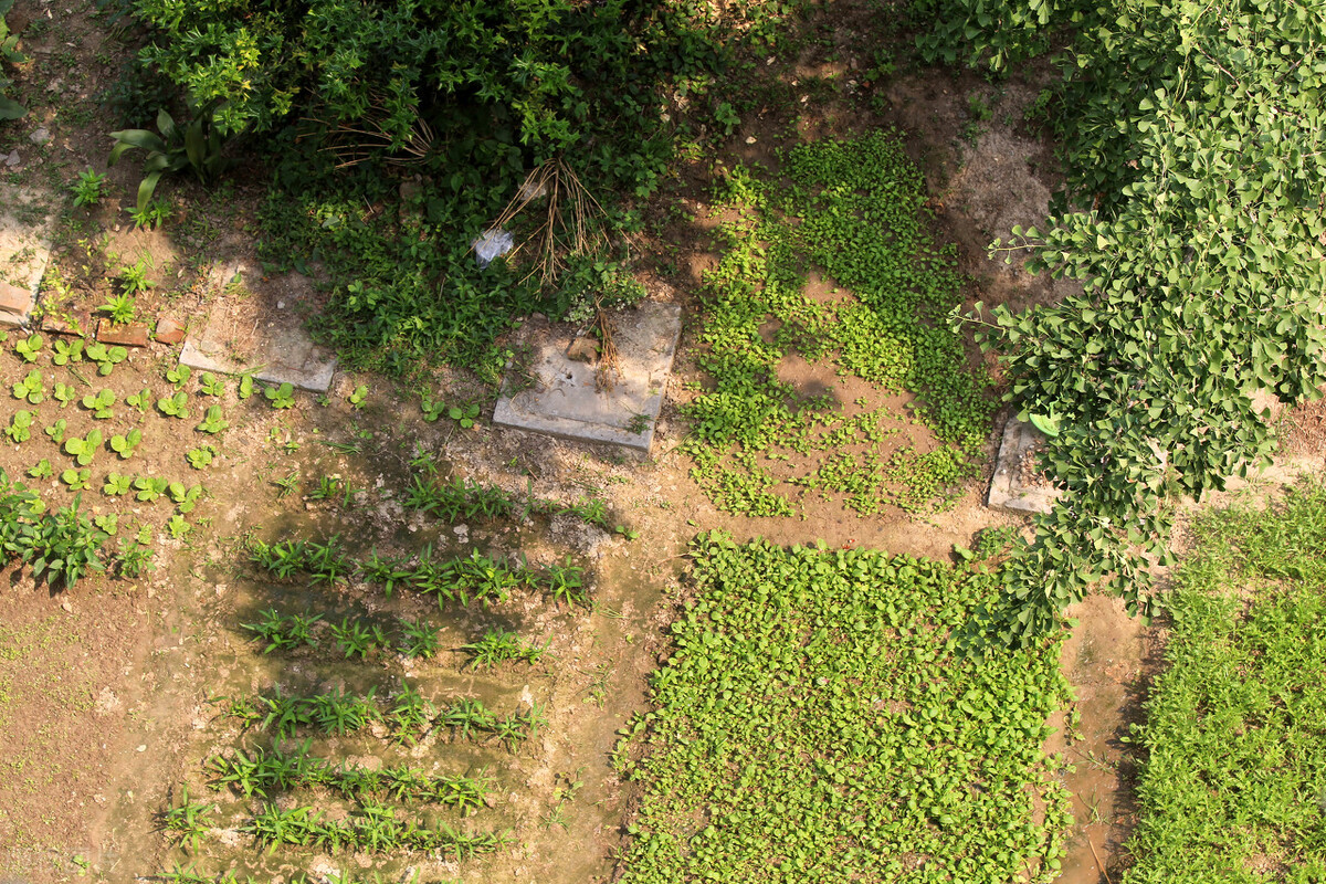 自留地土地征收补偿,农村自留地征收补偿归个人合法吗