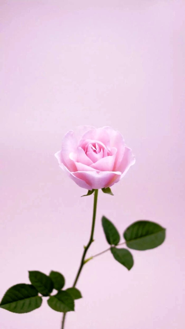 朋友圈说说大全简约又精致的句子,朋友圈说说精致的句子