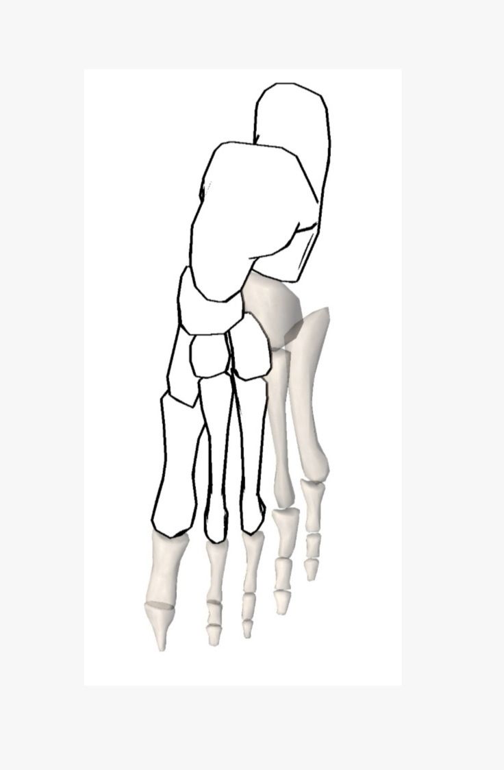 脚部足弓有啥穴位,脚底足弓是什么