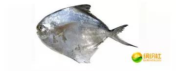 舟山海鲜攻略2天1晚住宿自由行,舟山最好的海鲜