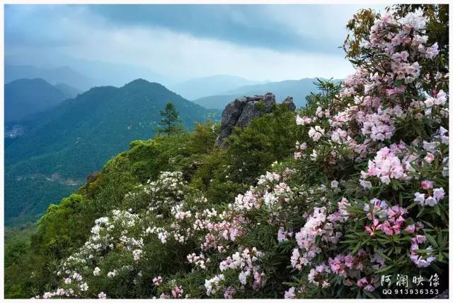 长汀有什么风景,长汀的美景有什么