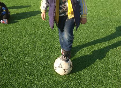 《说文解字》第334课：成语“一蹴而就”的“蹴”，你读对了吗？