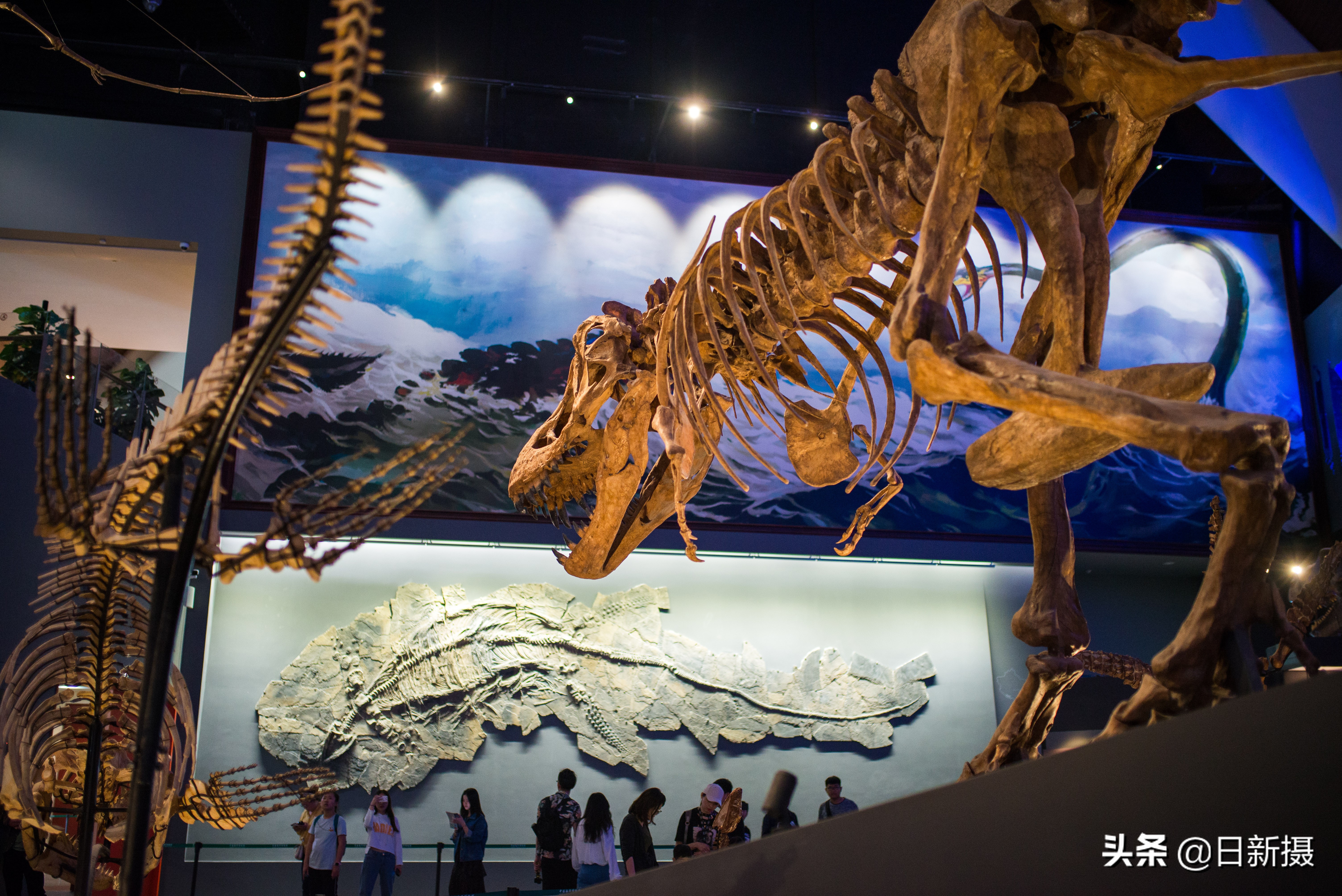 国家海洋博物馆之行,国家海洋博物馆蓝色海洋体验馆