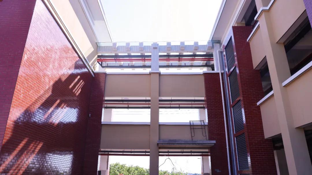 妙！望城这所幼儿园，“生长”在绿色田野里……