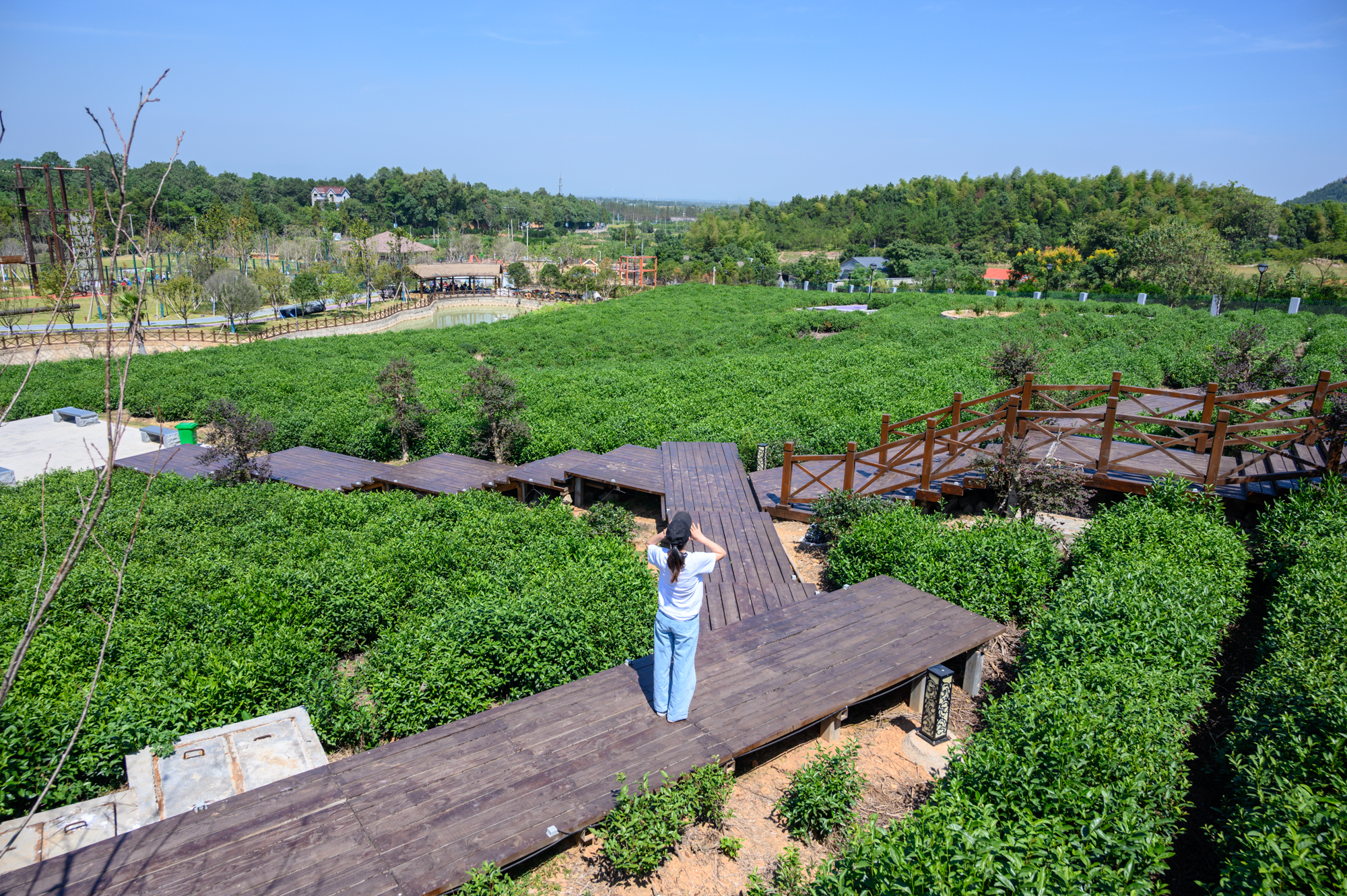浙江龙游必去的3个景点,龙游必去的免费十大景点
