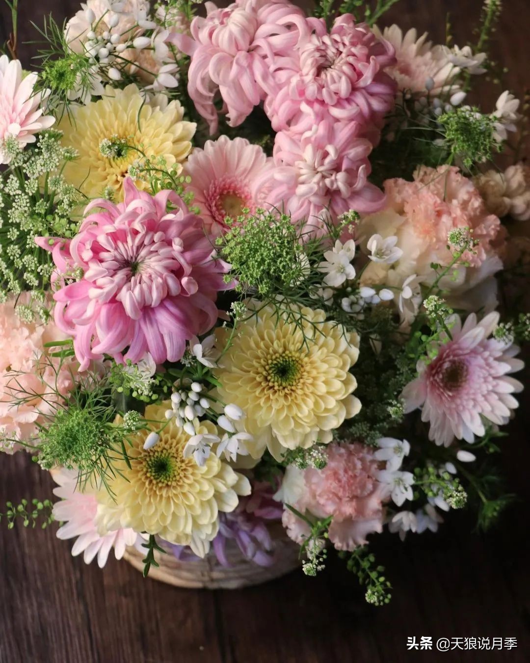 足不出户,带你了解2020日本园艺圈「新品种大赏」