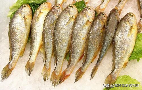 红烧小黄鱼的家常做法简单又好吃,小黄鱼的家常做法红烧小黄鱼王刚