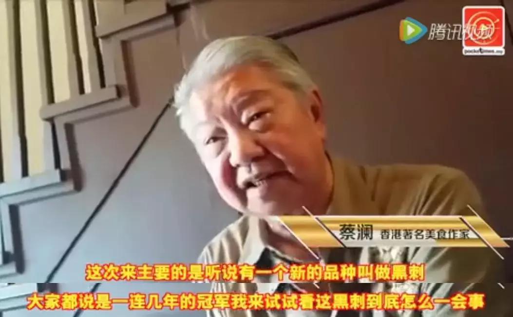 赌王派私人飞机买,蔡少芬怀孕也痴迷,凭啥它让*欲人**罢不能?