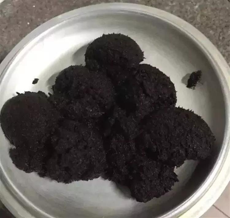 泥炭土发霉长毛,多肉土上发霉是怎么回事