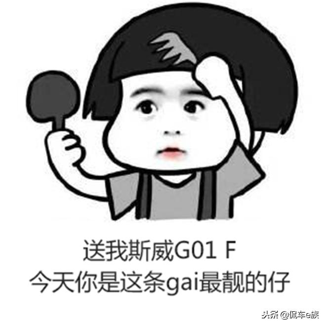 斯威g01f的三大件,斯威g01做你的专属骑士