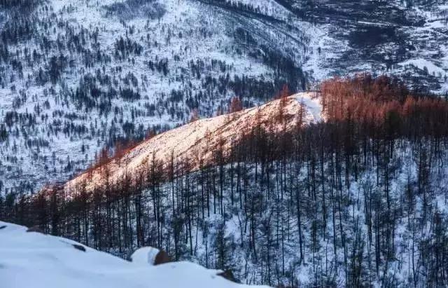 中国最美雪景地方,最适合旅游的雪国