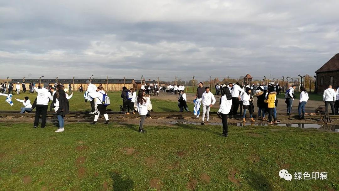 奥斯维辛集中营旅游,奥斯维辛集中营雏菊