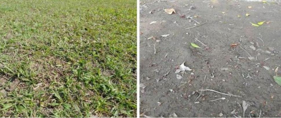 跑鞋抓地力决定防滑性能,跑鞋鞋底怎么更防滑