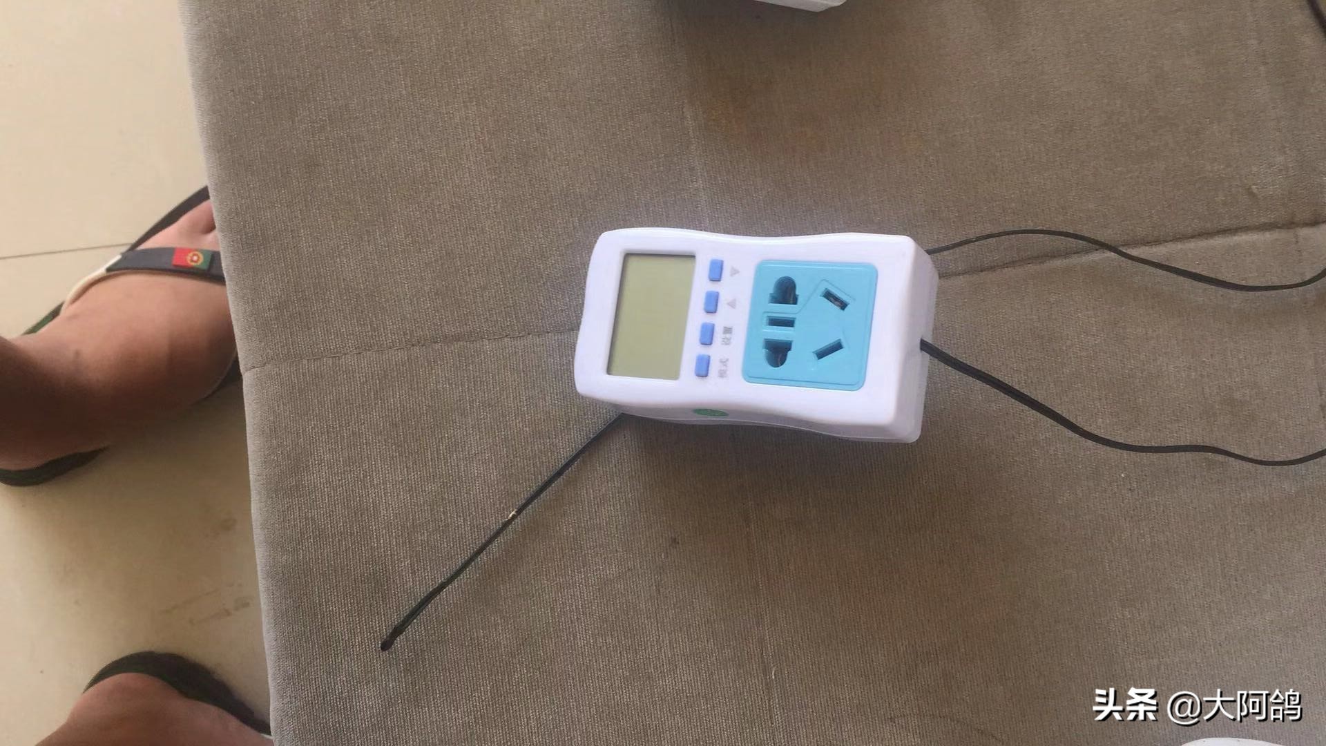 自制鹌鹑蛋简易孵化器,如何不用孵化器简单孵化鹌鹑蛋