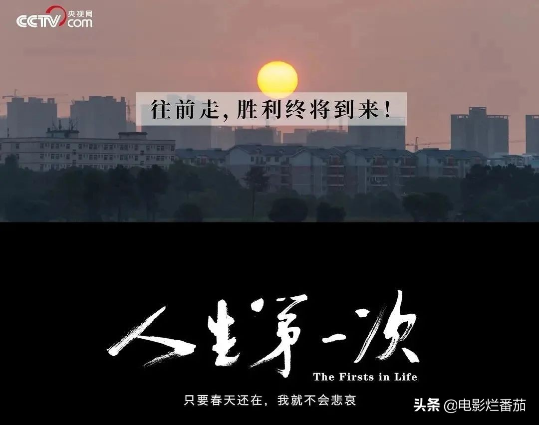 这几部值得珍藏的电视剧,十大必看的国产纪录片