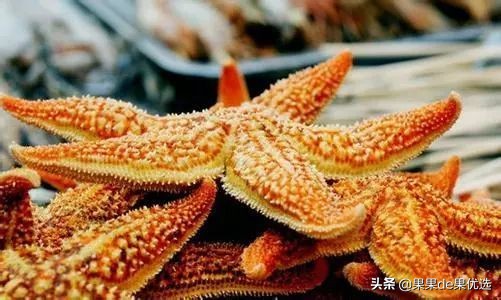 吃派大星的方法,派大星都吃过哪些奇怪的东西