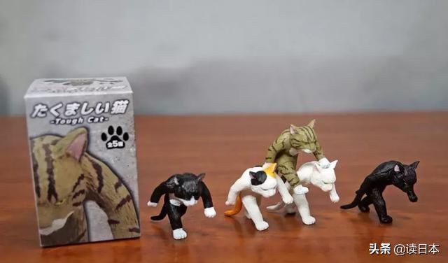 沙雕手办日本小哥,日本沙雕手办小哥哥