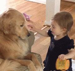 人为什么要生孩子最好的答案,为什么要生2个孩子最好的答案