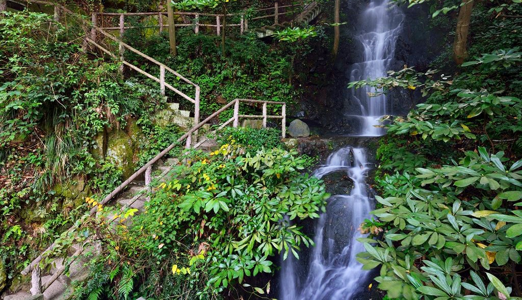 武夷山千禧大酒店金凤凰,武夷山千禧酒店温泉