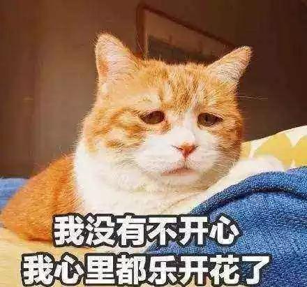 如何一句话气哭留学生？大型爆惨现场...