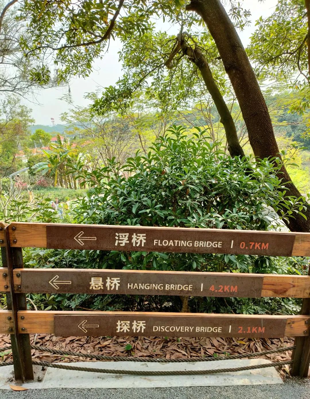 深圳天空之镜网红玻璃桥,深圳玻璃桥免费旅游攻略