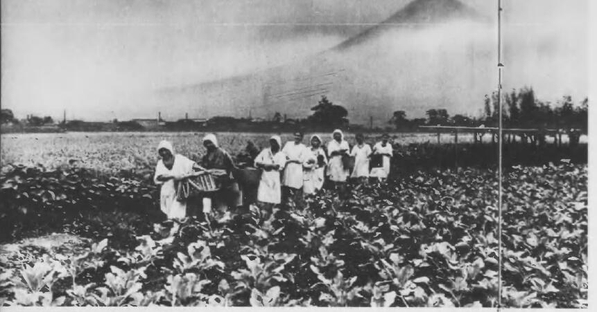 开拓团日本姑娘,开拓团里的日本女人