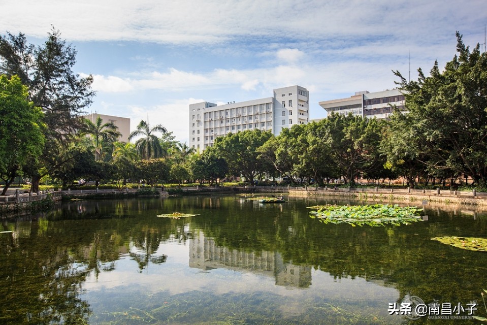 广西大学和云南大学哪个更好,广西大学pk云南大学