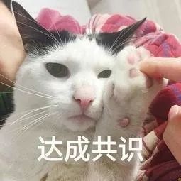 猫咪突然睡在猫砂盆里是什么情况,猫咪突然不在猫砂里尿了怎么回事