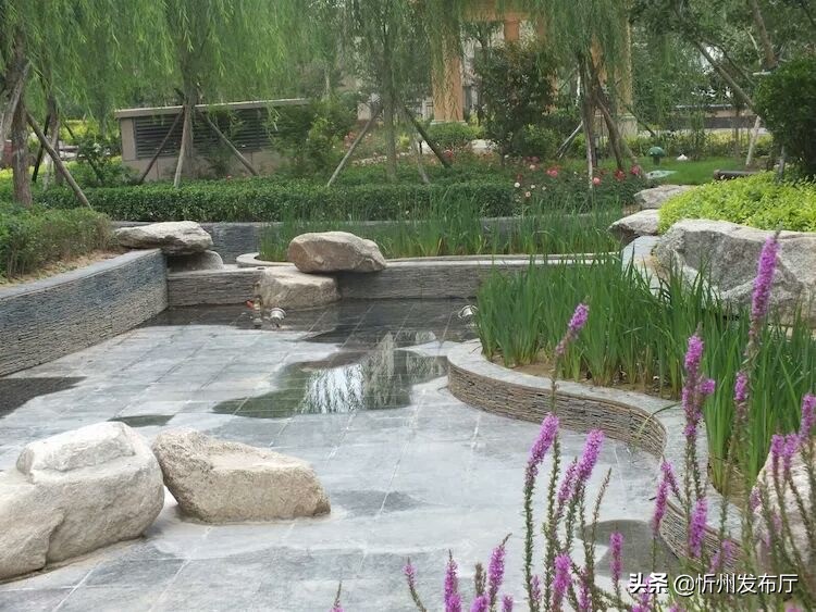 忻州国力花园二期在哪个位置,忻州国力花园五期和国力新城二期