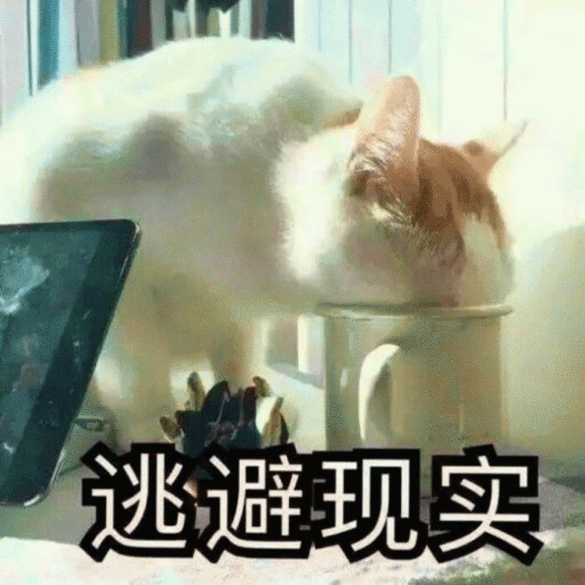 猫瘟和猫传腹哪个致死率高,病毒致死率提升