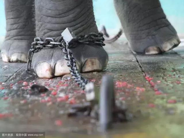 明星撞衫后的惨烈对比,明星撞衫的那些事