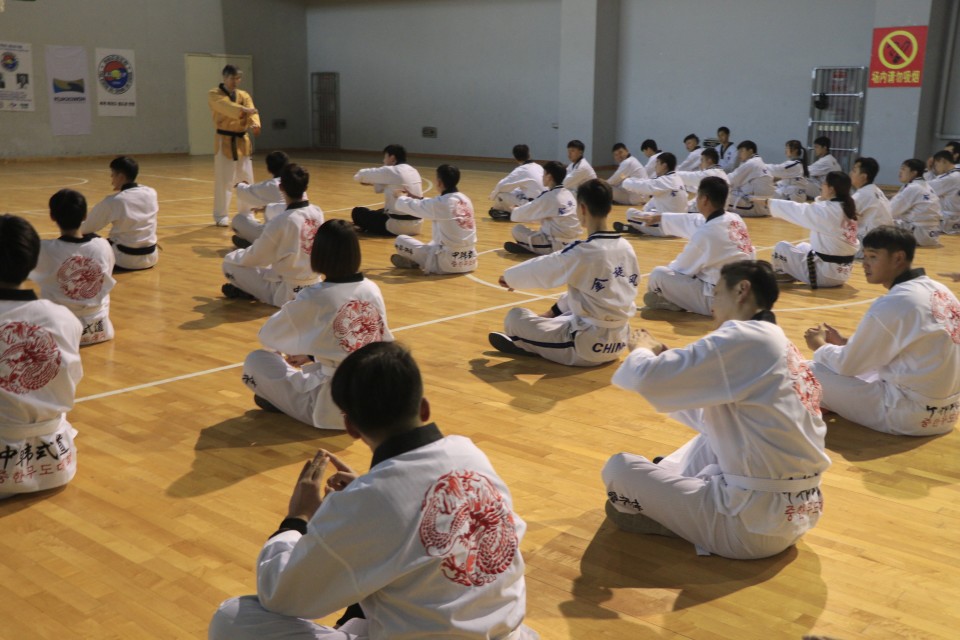 2018普信杯中韩跆拳道精英赛,吉林省2010中韩跆拳道交流赛