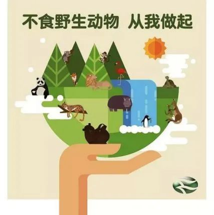 noeat鑻辫,noeat