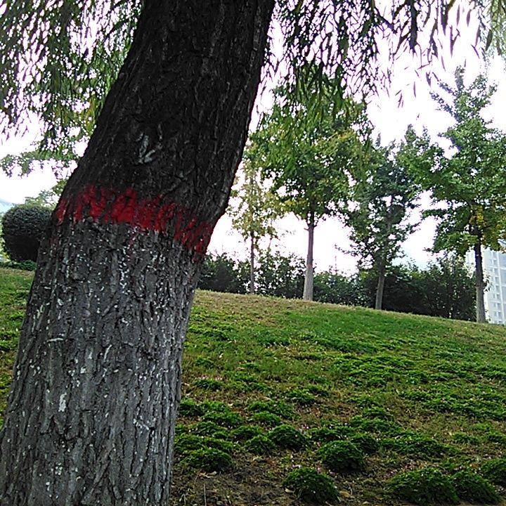 儿童智能安全手表设置,360安全儿童手表10x