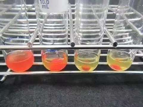 景甜倪妮同台2019年,景甜倪妮同台2019