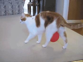 男生永远不懂女生的脆弱,男生永远不会懂女生的良苦用心