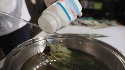 有毒的粽叶,怎么知道粽子的粽叶有毒