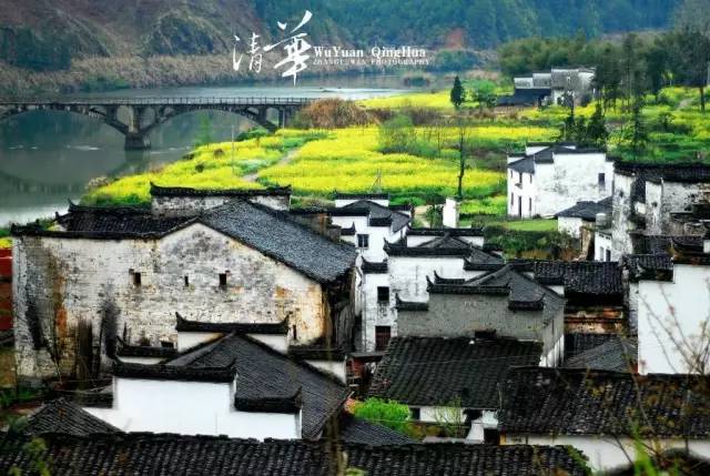 戴口罩的冬天太漫长，差点忘了中国的春天有多美