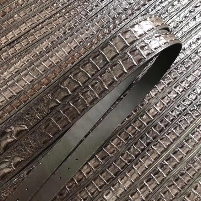 真正的鳄鱼多少钱,超吓人的鳄鱼